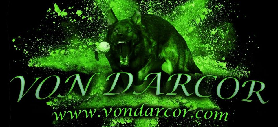 Von Darcor German Shepherds